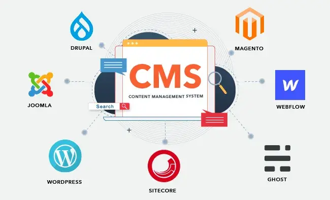 CMS Development Services